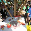 praznik_kozjanskega_jabolka_2014__84_.jpg