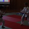 v_katana_03.jpg