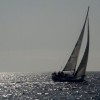 p_regata_11.jpg