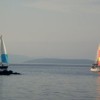 p_regata_06.jpg