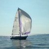 p_regata_05.jpg