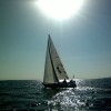 p_regata_04.jpg