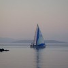 p_regata_07.jpg