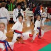 z_karate01.jpg
