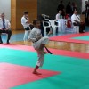 z_karate03.jpg