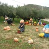 slika 001.jpg