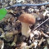 20140830_133035.jpg