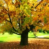 DSC_0225~2.jpg
