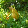 DSCN9587.JPG