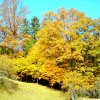 DSC00029.jpg
