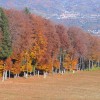 POHORJE 004.jpg