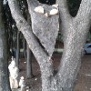20140909_185822.jpg