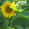 IMG_0112.jpg