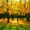 DSC_0231~2.jpg