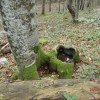 P9241000.jpg