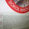 sokol_110_let__1_.jpg