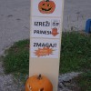 buce13.jpg