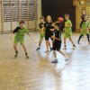 v_krka_04.jpg