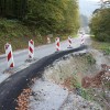 img_9170__medium_.jpg