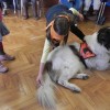 pocitinice_012.jpg