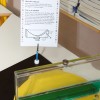 eksperiment09.jpg