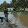 dobrepolje poplava.jpg