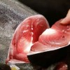 tuna.jpg