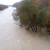 sava, narasla, črnuče.jpg