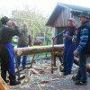 skovec_04.jpg