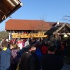 skovec_01.jpg