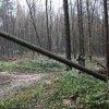zenske021.jpg