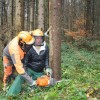 zenske013.jpg