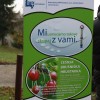levstik024.jpg