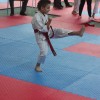 z_karate_04.jpg