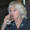 Camilla Parker Bowles.jpg