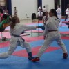 z_karate_21.jpg