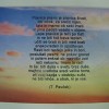 t_vojna_08.jpg