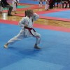 v_karate_10.jpg