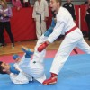 v_karate_26.jpg