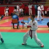 v_karate_30.jpg