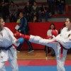 v_karate_31.jpg