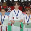 v_karate_11.jpg