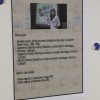 kemijska_sola61.jpg