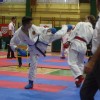 z_karate_06.jpg