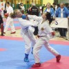 z_karate_04.jpg