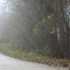 img_6884_000.jpg