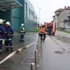 vaja_19.jpg