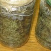 Marihuana.jpg