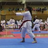 z_karate_23.jpg