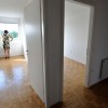 stanovanje_najem_bobo_24.07.13.jpg